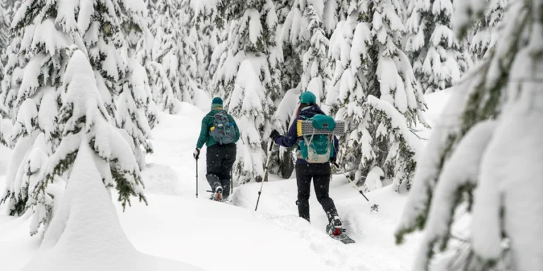 Snowshoeing